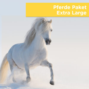 Darstellung, wie User und wie der Googlebot ein Bild bei der Suche nach „Pferde Deko Paket XL“ sehen