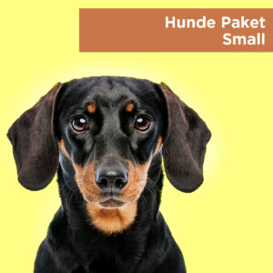Darstellung, wie User und wie der Googlebot ein Bild bei der Suche nach „Hunde Deko Paket Small“ sehen