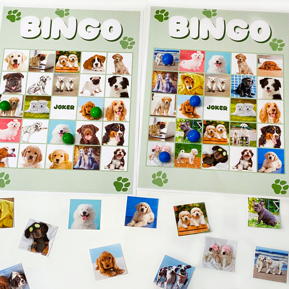 Hunde Deko Paket Small - Schatzsuche Kindergeburtstag