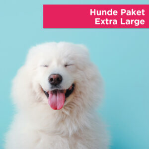 Darstellung, wie User und wie der Googlebot ein Bild bei der Suche nach „Hunde Deko Paket XL“ sehen