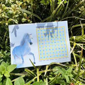 Schatzsuche Pferd Kindergeburtstag