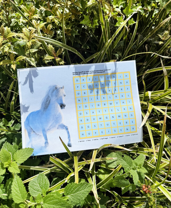Schatzsuche Pferd Kindergeburtstag
